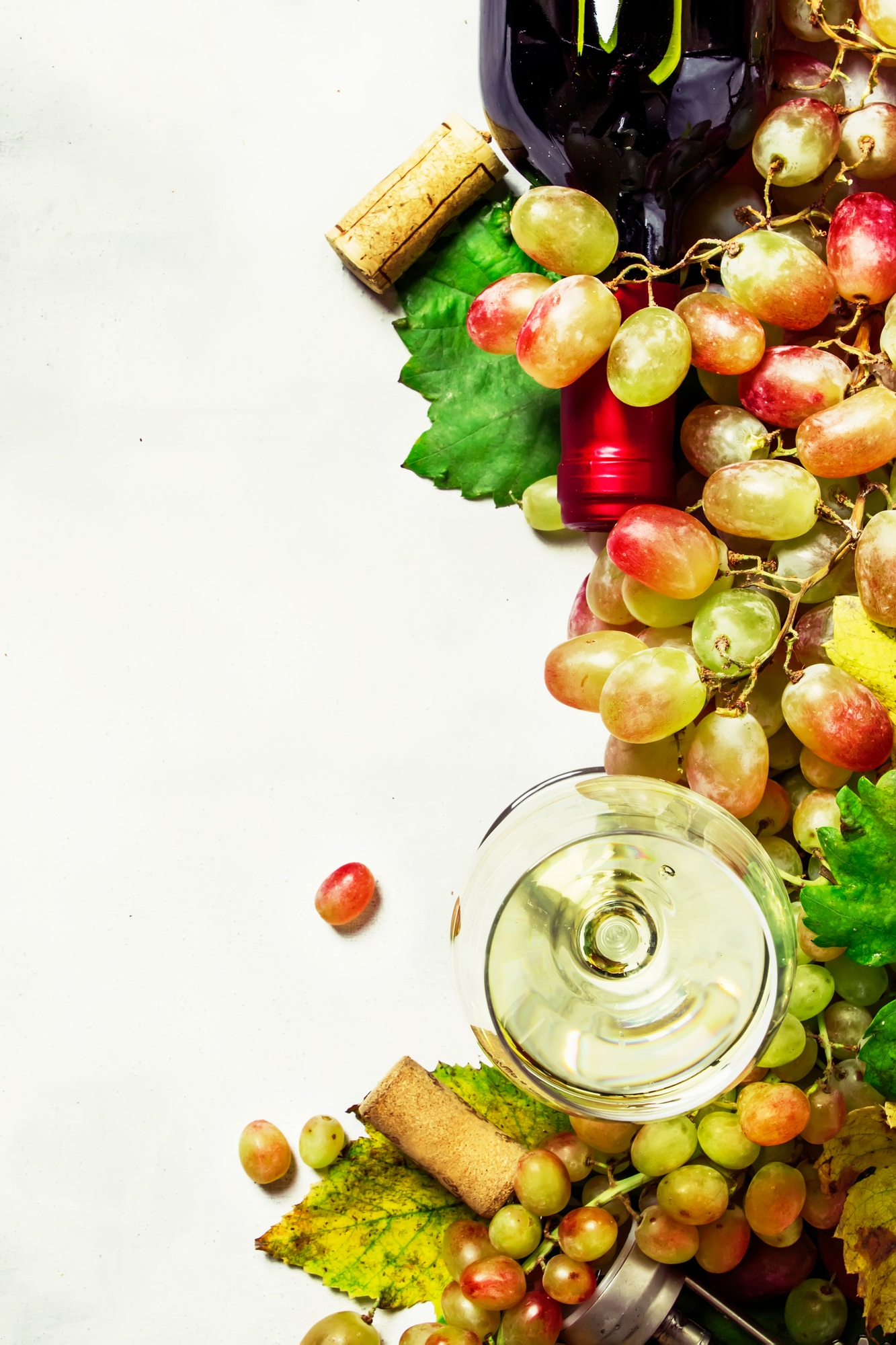 Dry white wine from sauvignon grapes